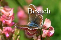 Bitte ins Bild klicken!