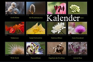 titel-kalender-306