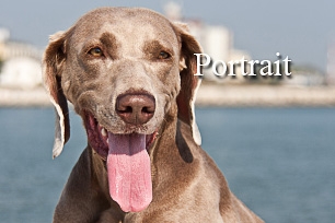 titel-portrait-306