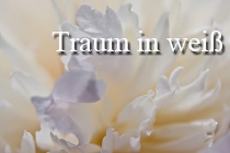 Bitte ins Bild klicken!