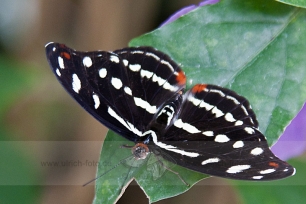 img_6745-1-web
