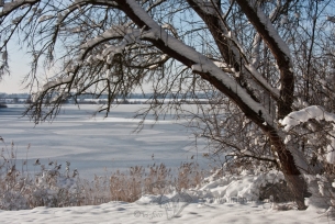 mg_9262-1000