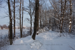 mg_9184-1000
