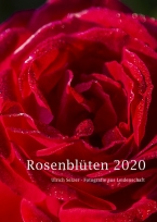 00_2020