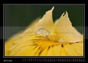 06-2012-web