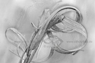 03 img_4624-3-1-web